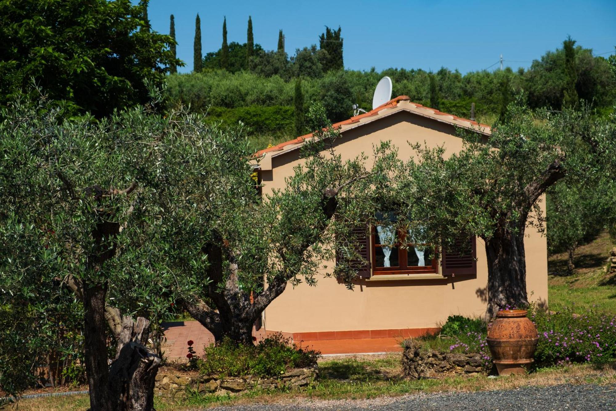 Cerroni Montescudaio